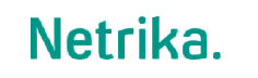 Компания Нетрика